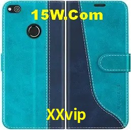 Integração de APIs XXvip
